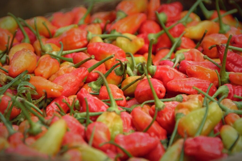 Peppers and innovation: a leading indicator of market dynamics