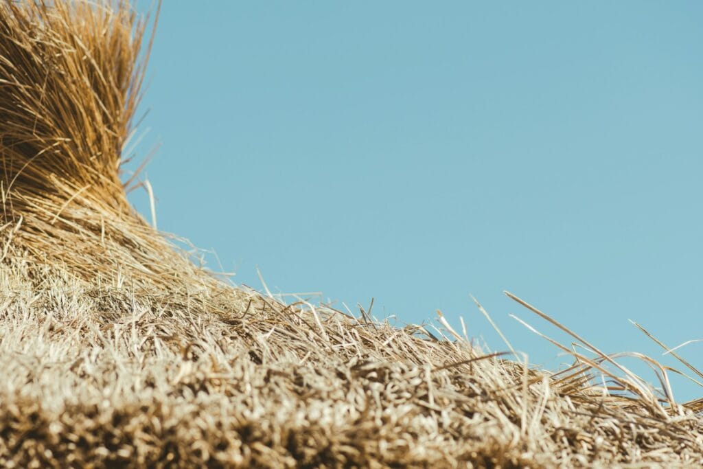 Straw and microbes