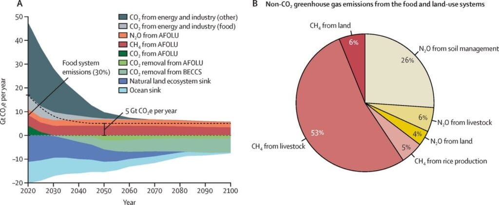 The food system generates around 30 % of global GHG emissions, dominated by methane (53 %) and nitrous oxide (26 %). Source: EAT-Lancet 2025.